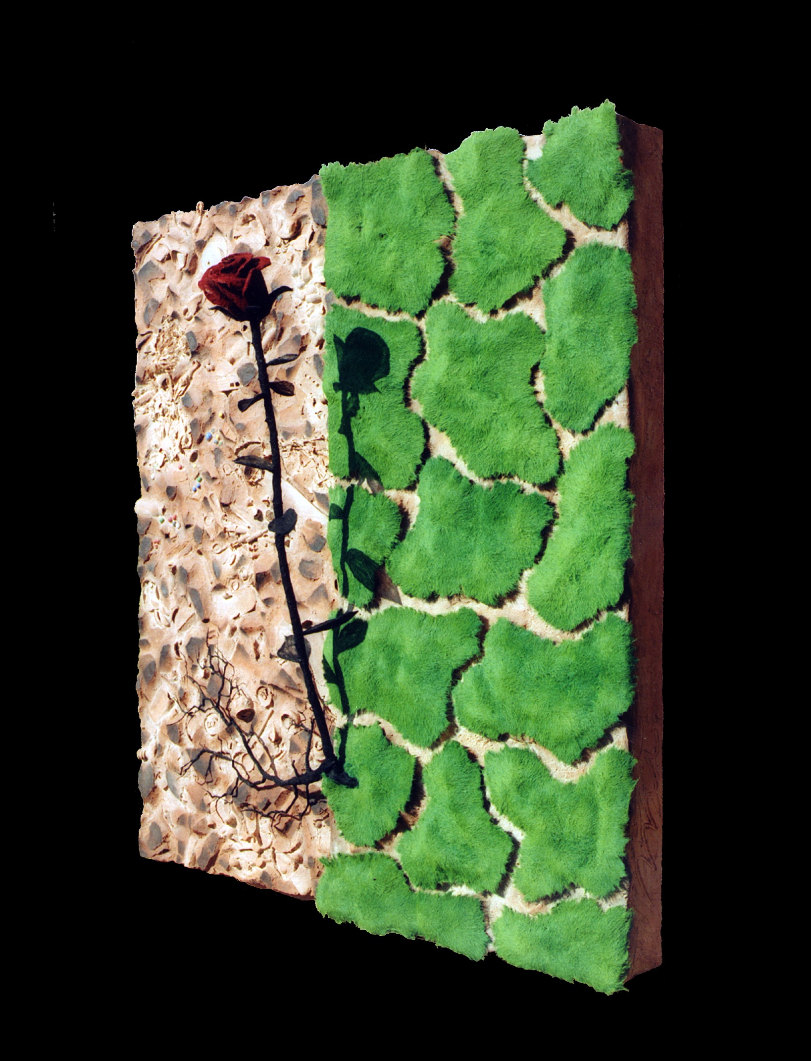 Paradigma – Ansicht 5