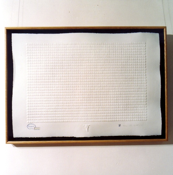 Rinder – Ansicht 12